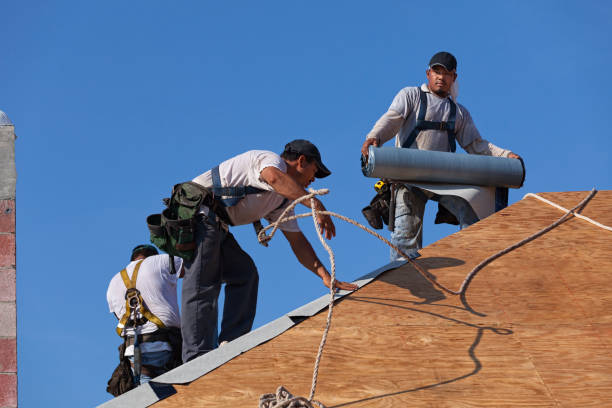 Best Roof Gutter Cleaning  in Preston, MN